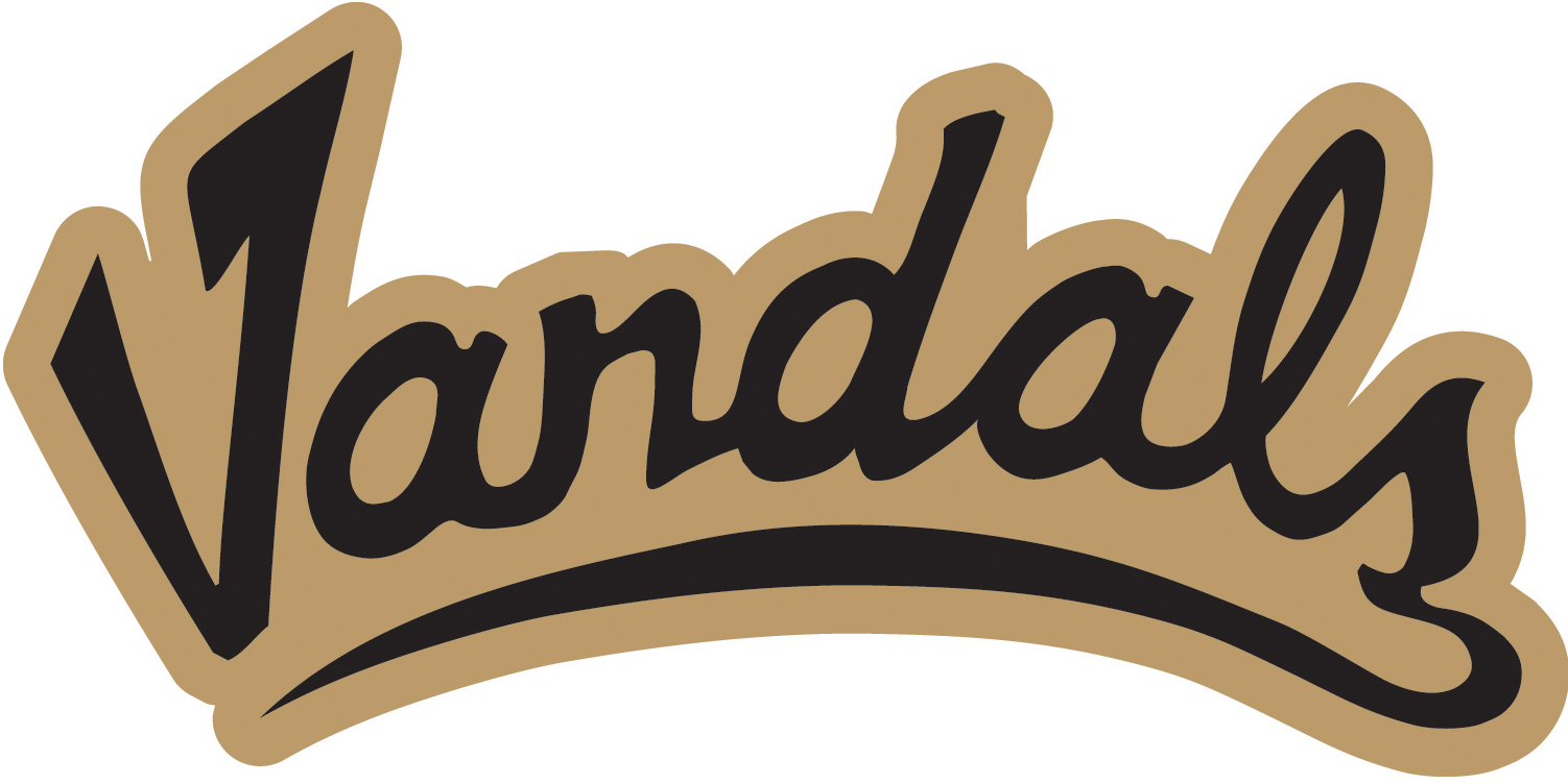 Idaho Vandals 2012-Pres Wordmark Logo v2 DIY iron on transfer (heat transfer)